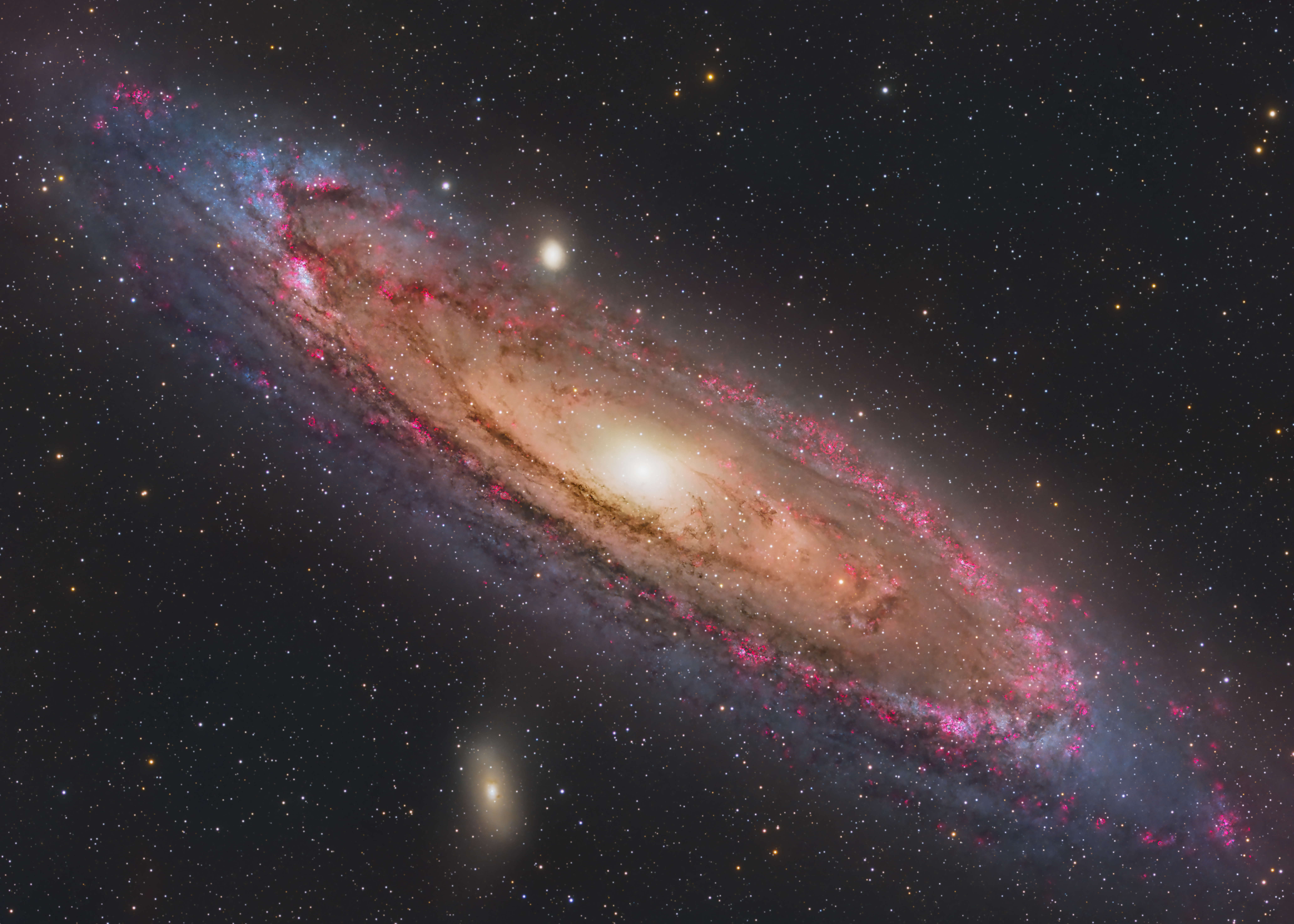 M31 shot by Nicola Bugin