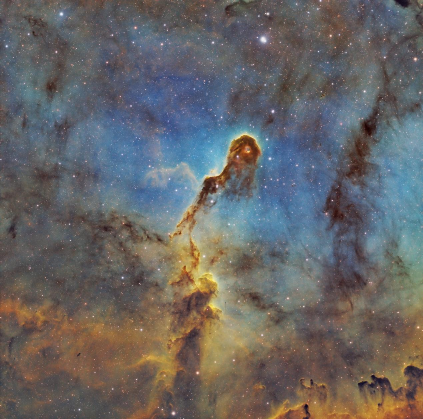 Elephant's Trunk Nebula: IC1396